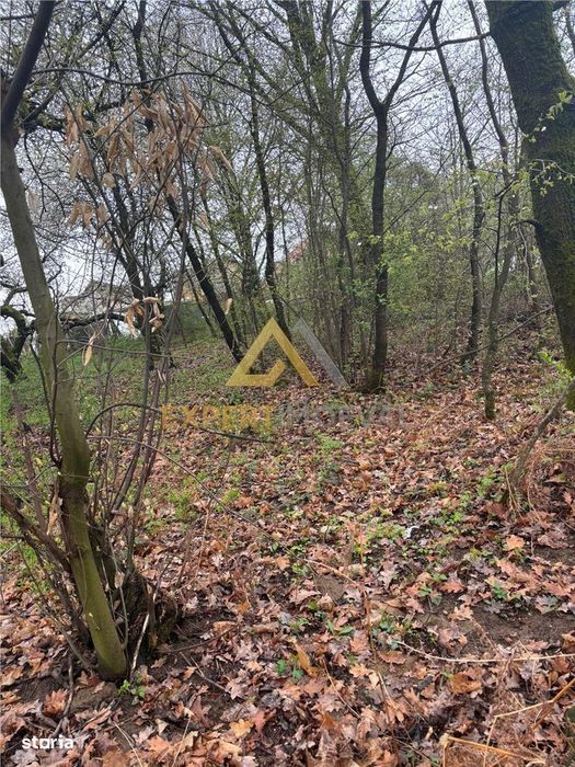 Teren intravilan in spate la Castel Transilvania 1.000mp