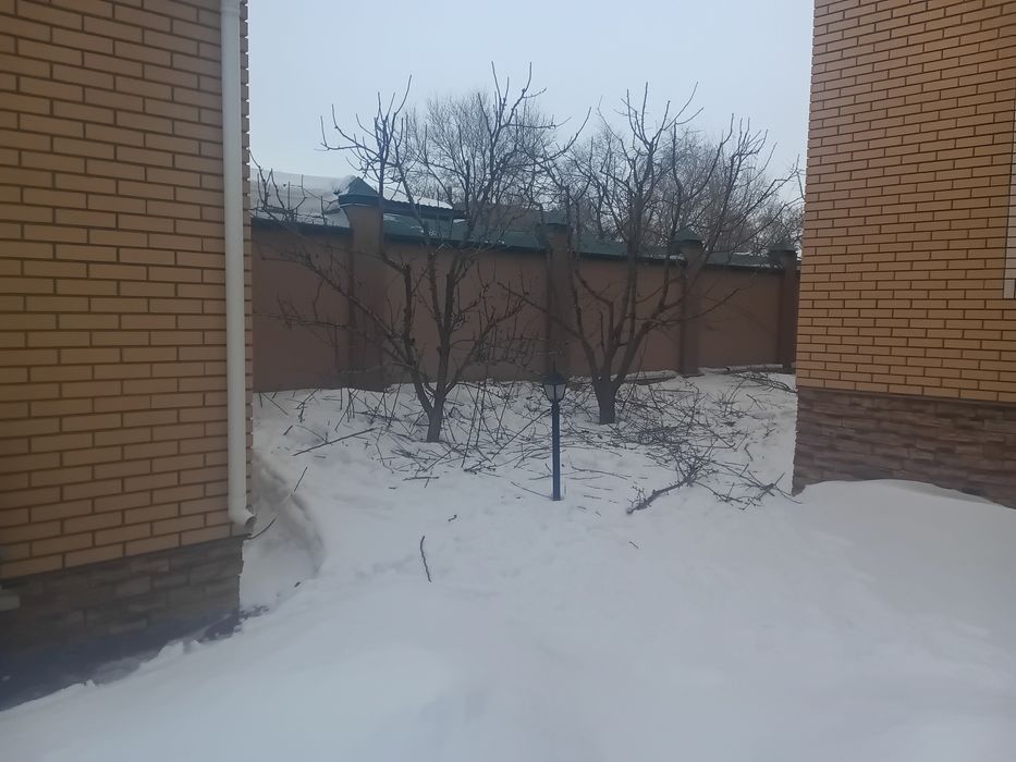 Обрезка деревьев