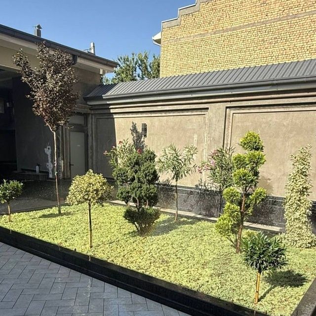 Gazon xizmati kelishilg xolda arzon