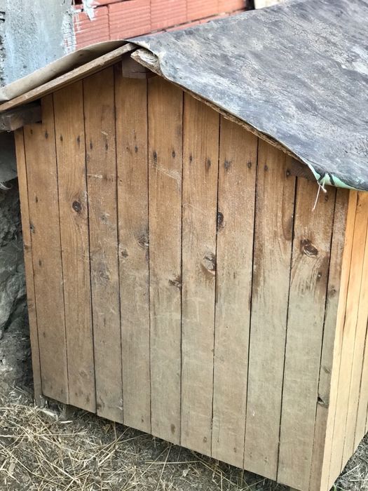 Масивна, голяма кучешка колиба