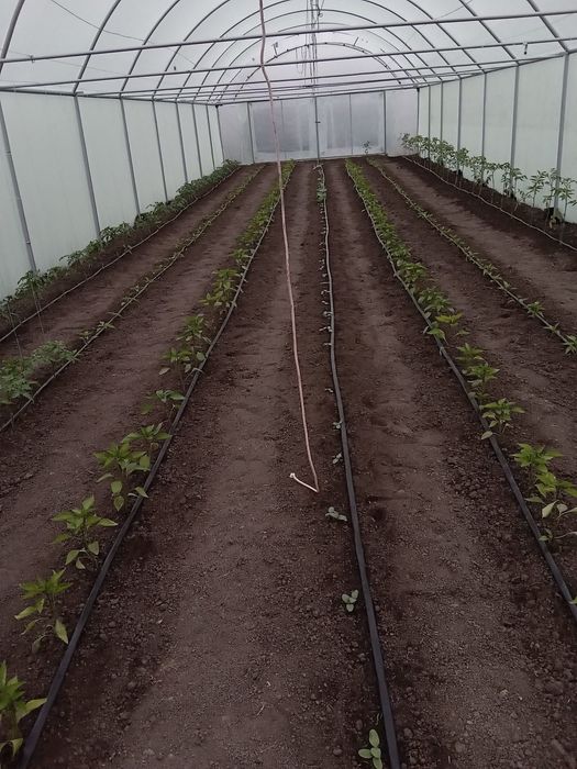 Vand solar 20x6 din teava galvanizata