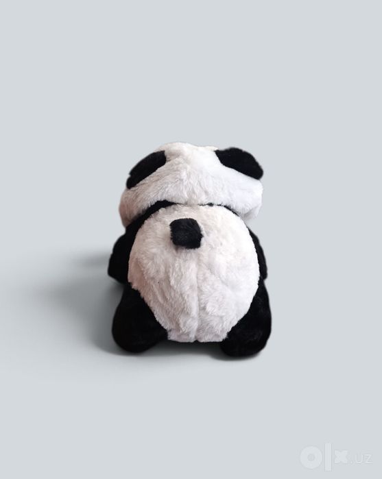 Teddy (yumshoq oʻyinchoq)