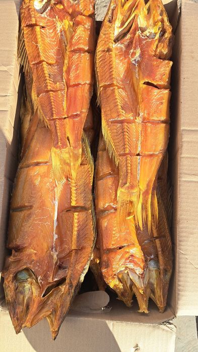 Рыба оптом в Ассартименте