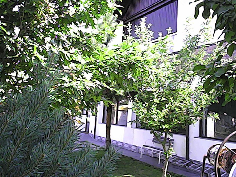 casa cu piscina de vanzare