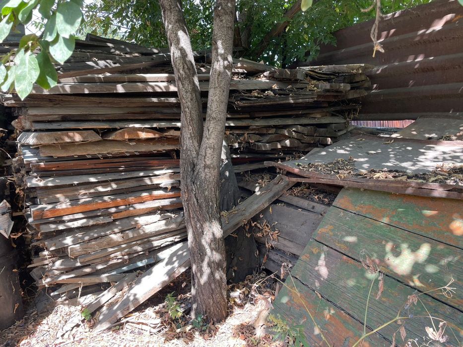 Дрова, Дерево для дровы