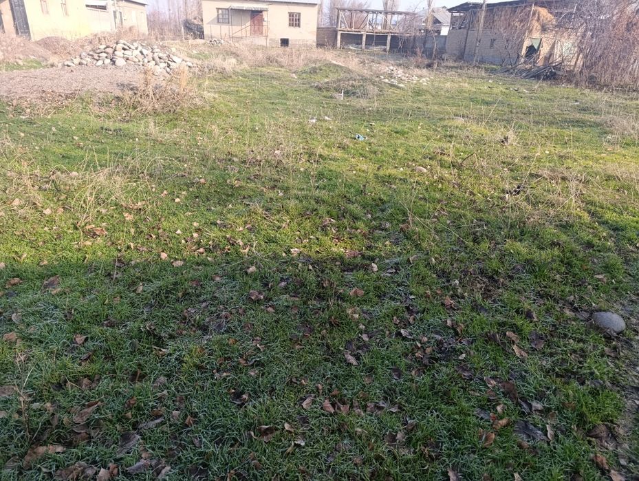 Бош участка.8сотих