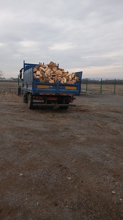 Lemn de foc FAG și CARPEN