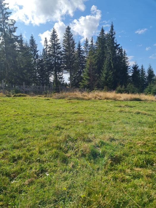 Teren de vânzare Maguri jud Cluj