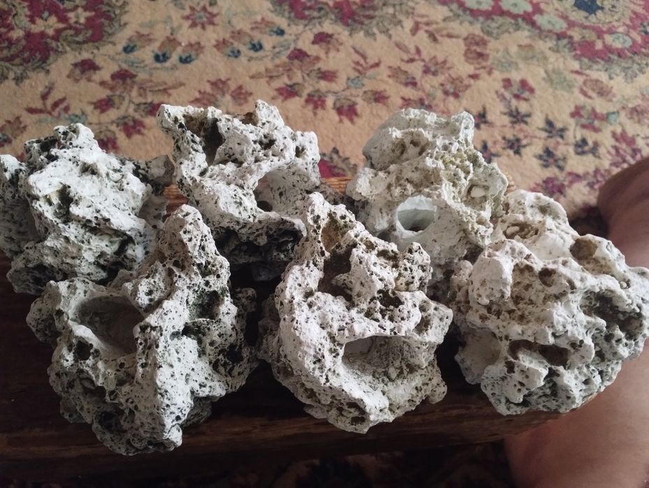 Accesorii acvaristice