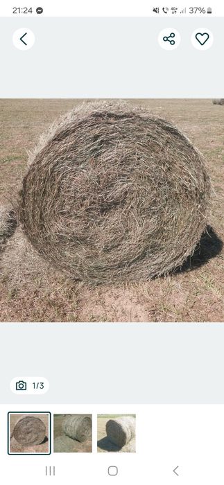 Baloti de fan de vanzare