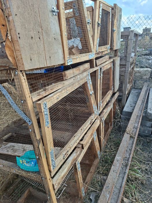 Продаи клетки для кроликов кролят