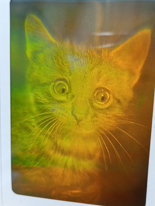 Продам голограммы