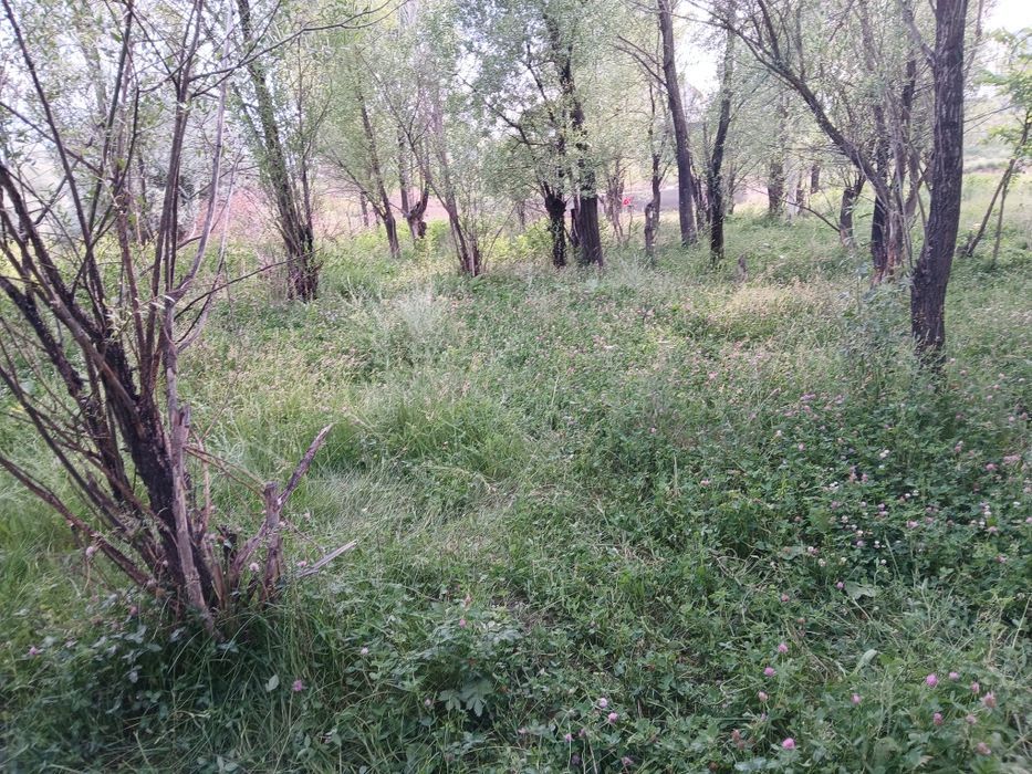 Продается участок Кемертоган