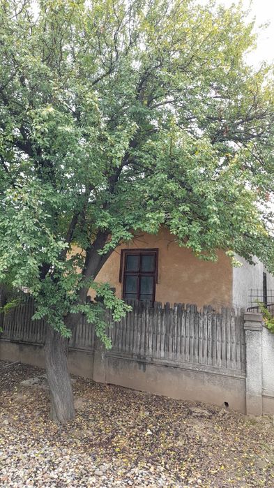 Casa cu teren de vanzare Basarabi(Calafat)