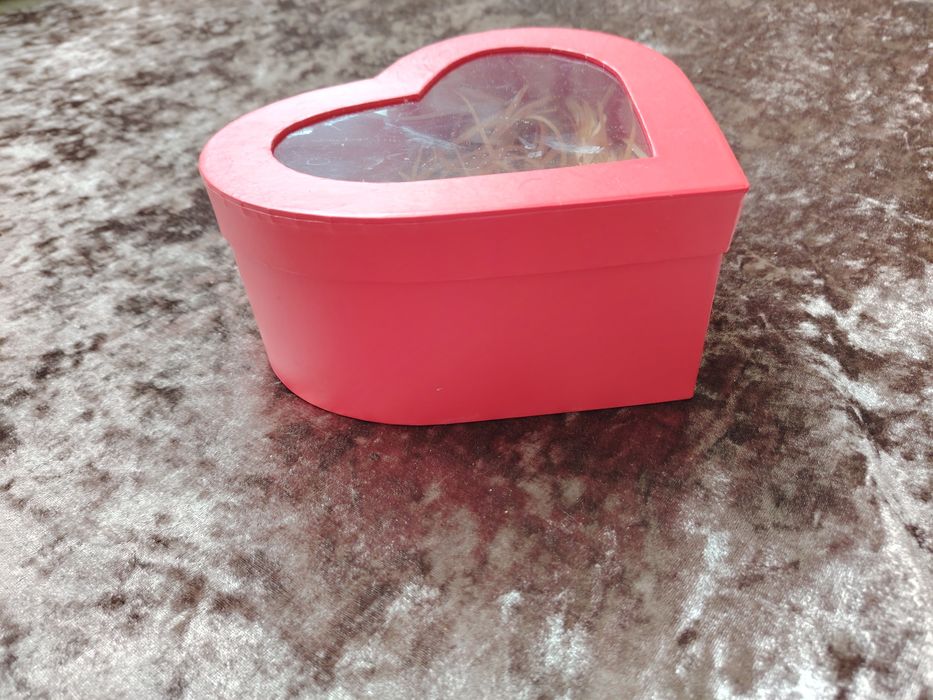 Сыйлыққа арналған қораптар сатылады