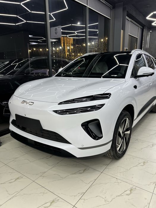 Other Seal 2025 — 2