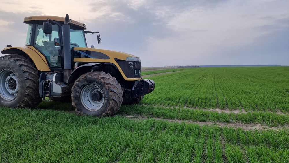 Vand tractor Challenger MT645B
An fabricație 2010