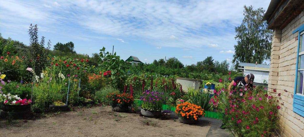 Дача 10 соток Общество «Ракета»