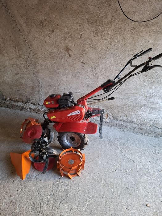 Motosapa Zimbru 6529