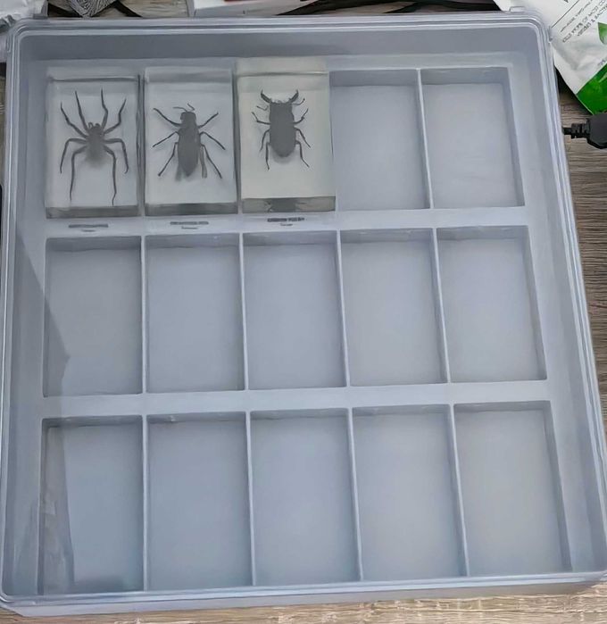 Списание Буболечки