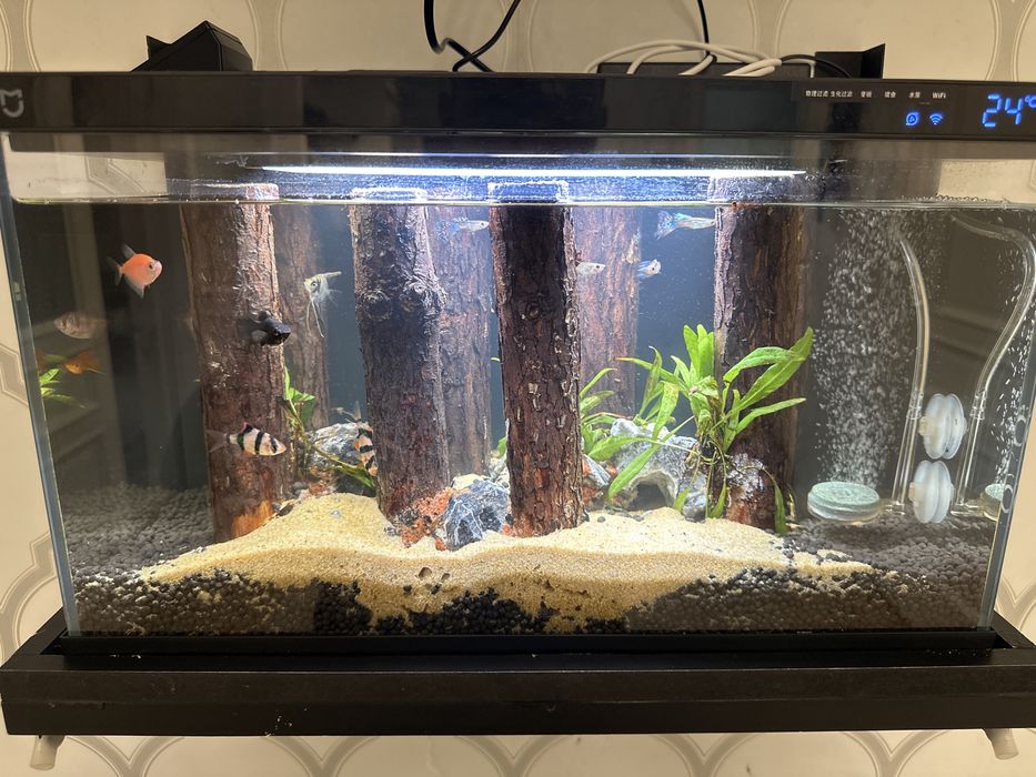 Продам аквариум полностью автомомный