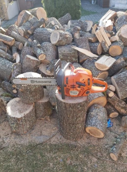 Caut de treabă în domeniul lemnelor