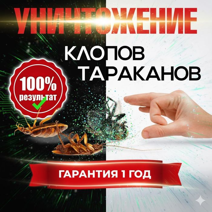 работаем быстро и эффективно. Дезинфекция