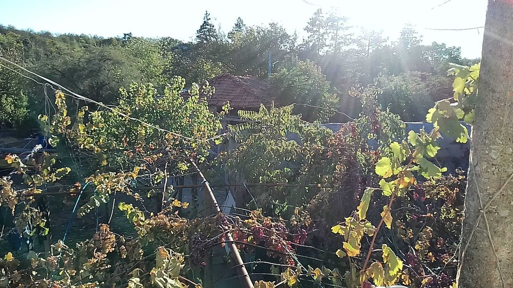 Продава се Къща в Тополовград - 1619 кв.м за 95 €/кв.м - Снимка #10