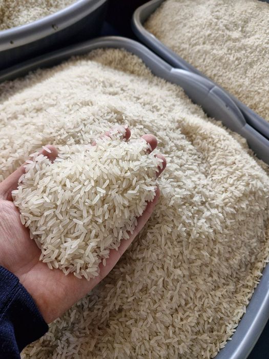 Хоразм гуруч база, оптом, перечисления, Xorazm guruch optom