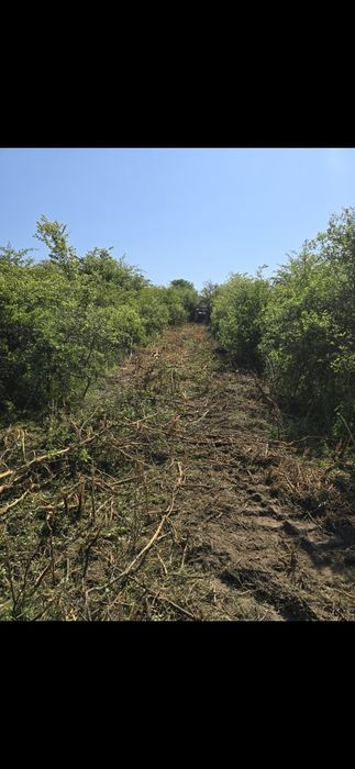 Închiriez utilaje Curățire terenuri de ambrozie,  vegetație