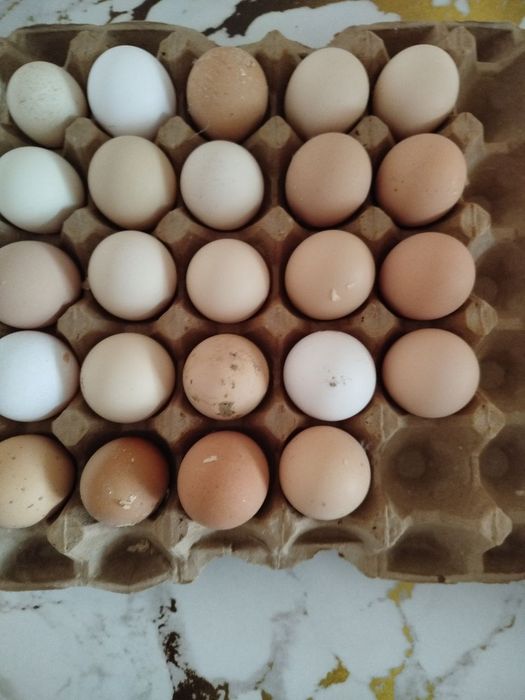 Тоза зоттор бромо