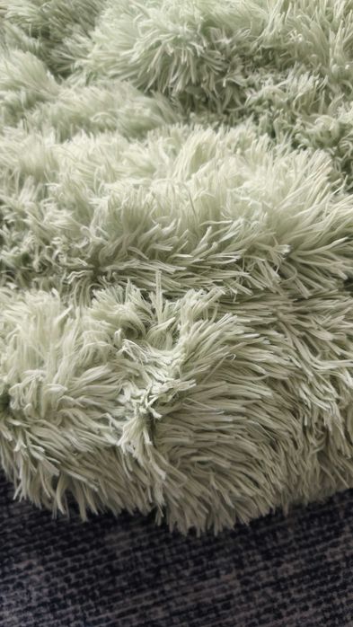 Pat culcus caini, pisici