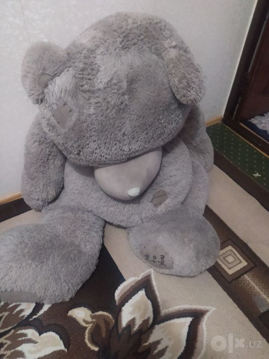 Taddy Bear  Igrushki dlya padorok