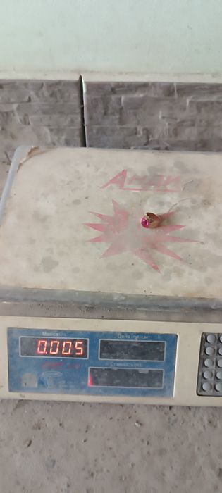 Tilla uzuklar sotiladi