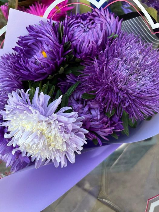 Продам многолетние цветы