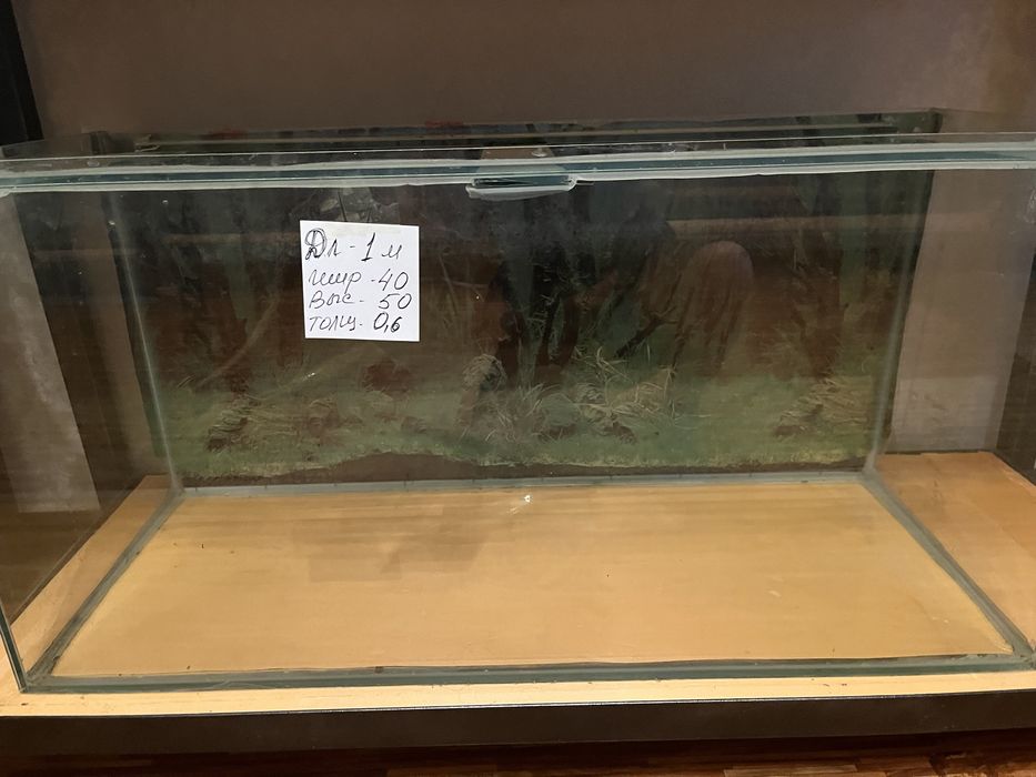 Аквариумы и стелажи  растения,