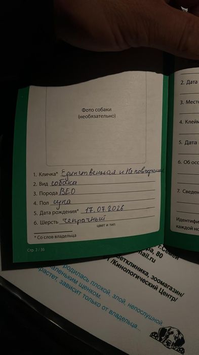 Продам щенка ВЕО