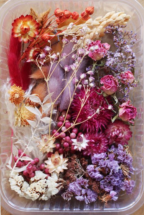 Наборы сухоцветов