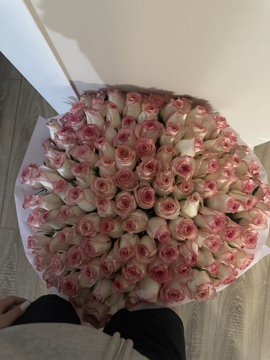 101 роза джульетта