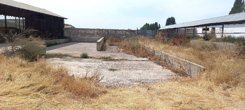 Ferma sotiladi .daca zona