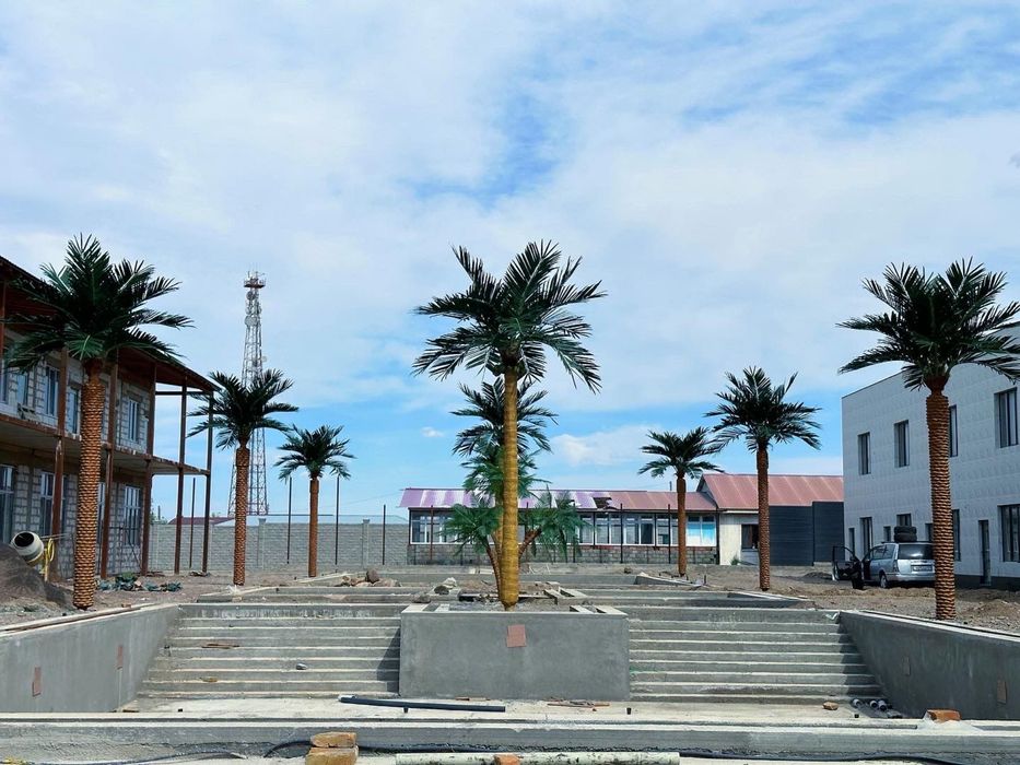 Пальма бассейн дом сад газон кокос дерево