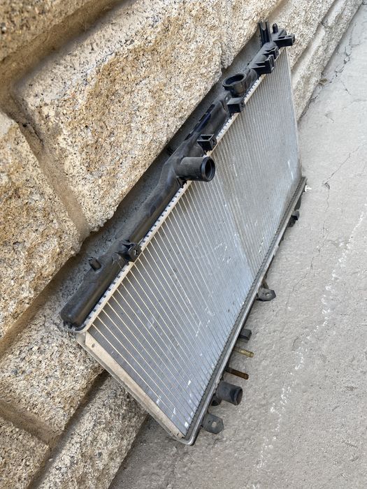 Радиатор Карина Е , Калдина