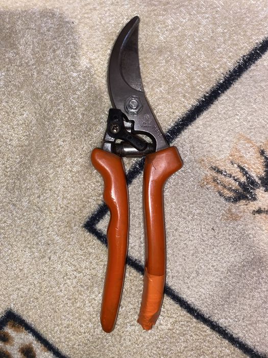 Vand foarfeca Craiova