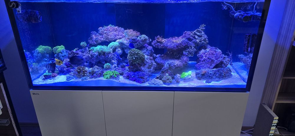 Acvariu marin red sea 625 g3