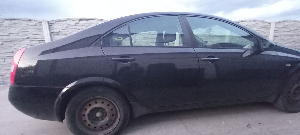 Usa Nissan Primera P12 D.sp