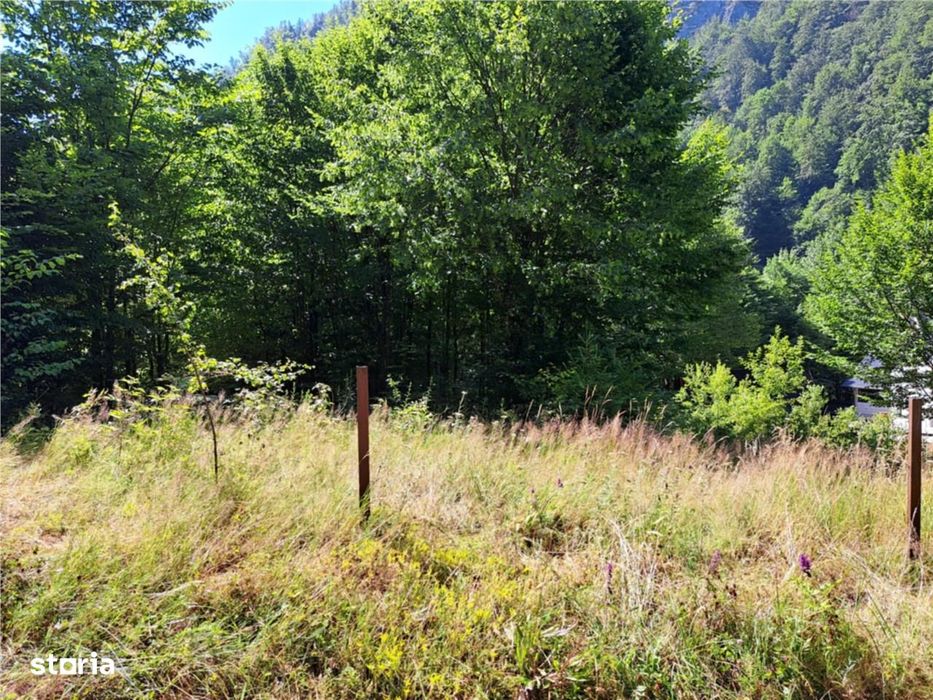 RECO Teren intravilan  Boga