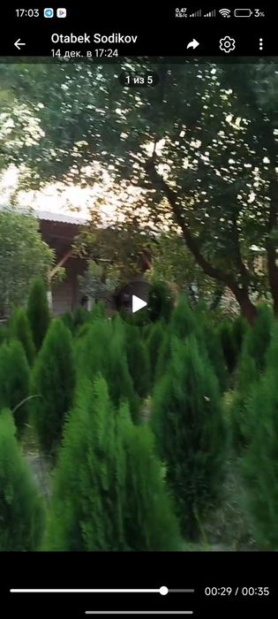 Kitob archa sadda tozasi