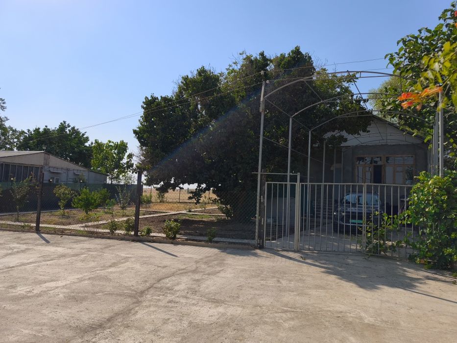 Продается дача в Кангли (Юкори-Чирчикский район)!