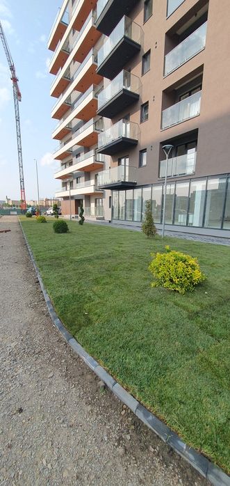 Gazon rulou Însămânțare Pregătirea terenului