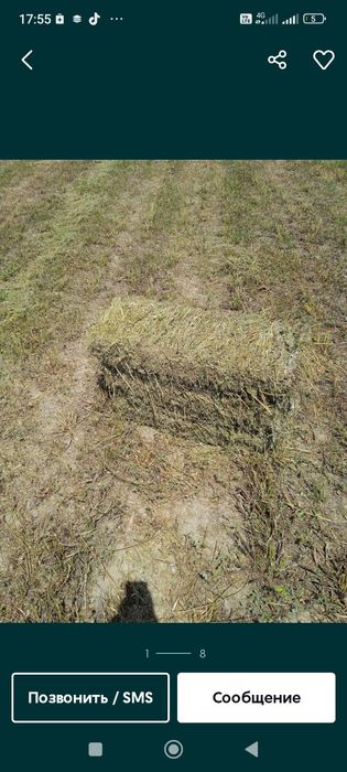 Люцерна,  прессованное в тюках.